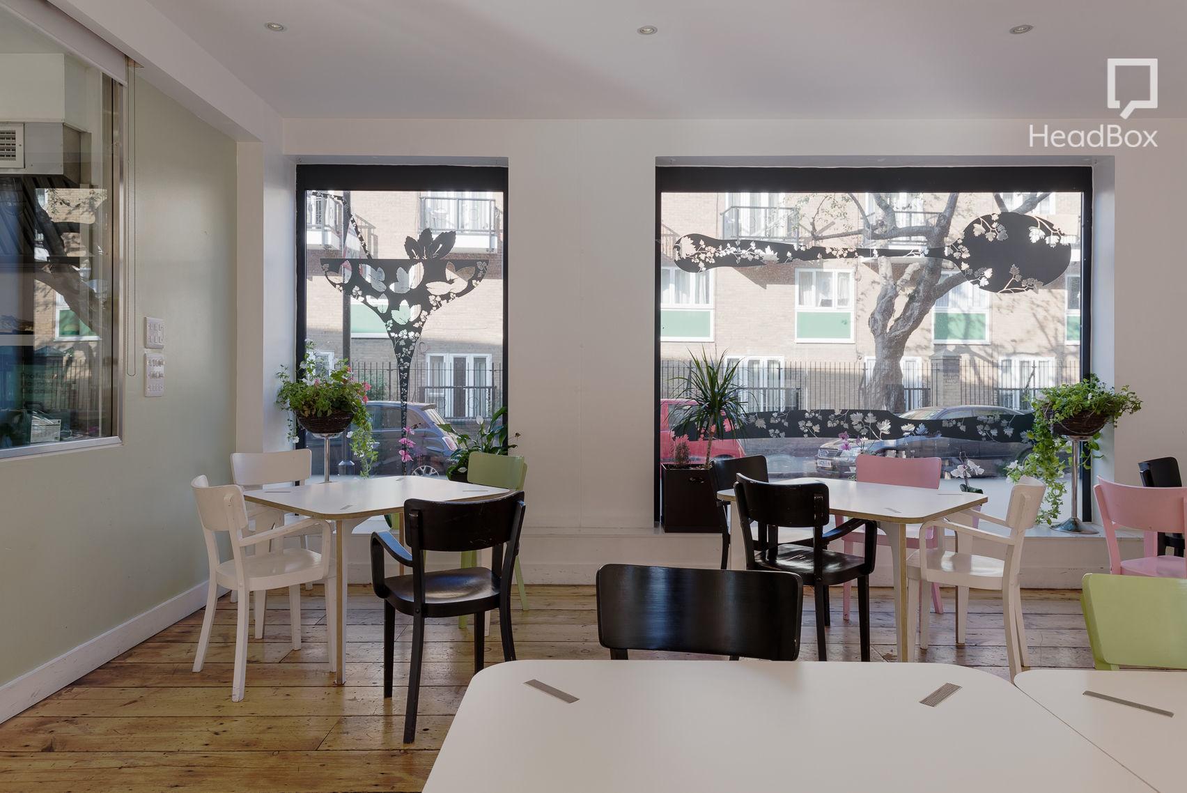 Consider the Lilies 10