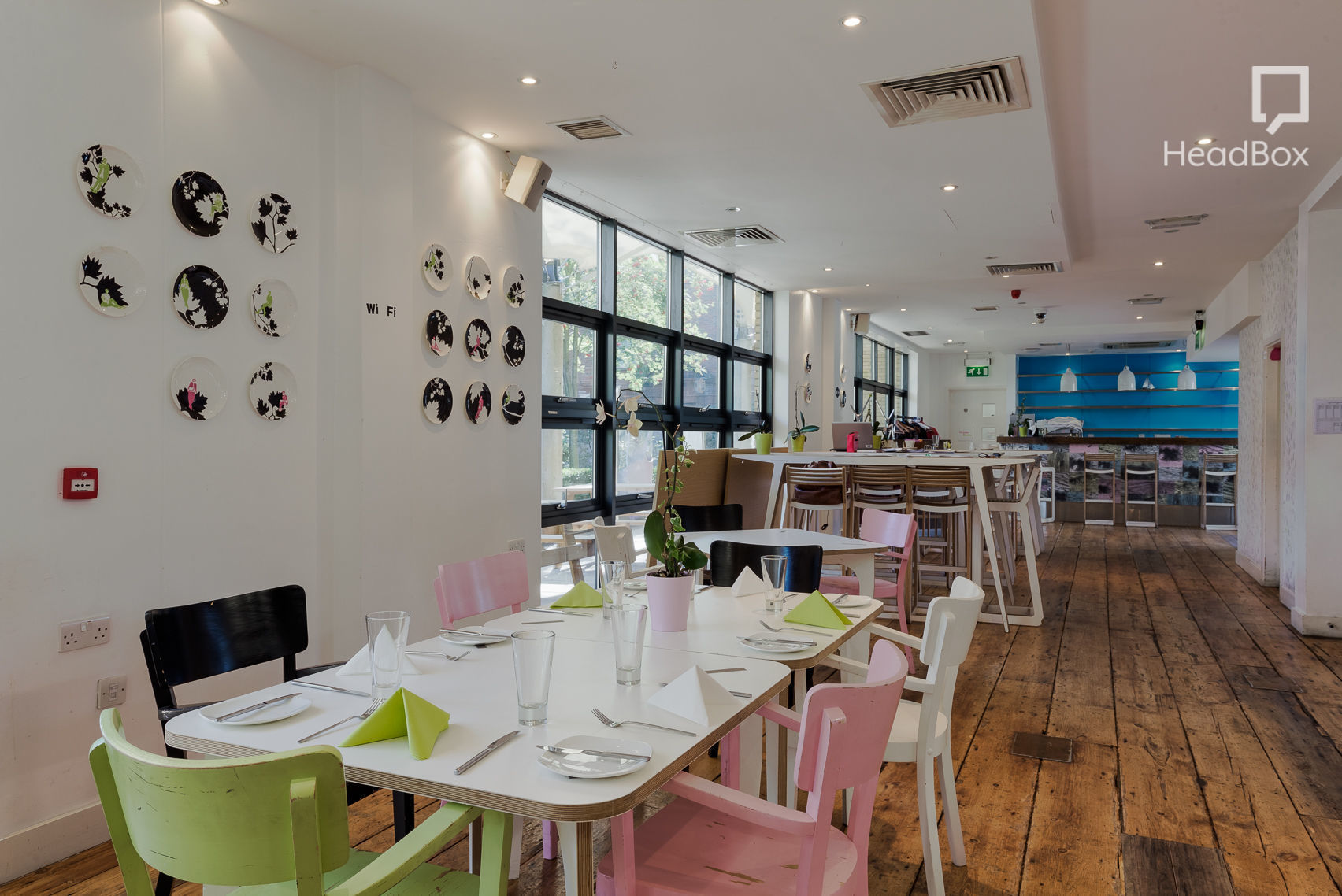 Consider the Lilies 16