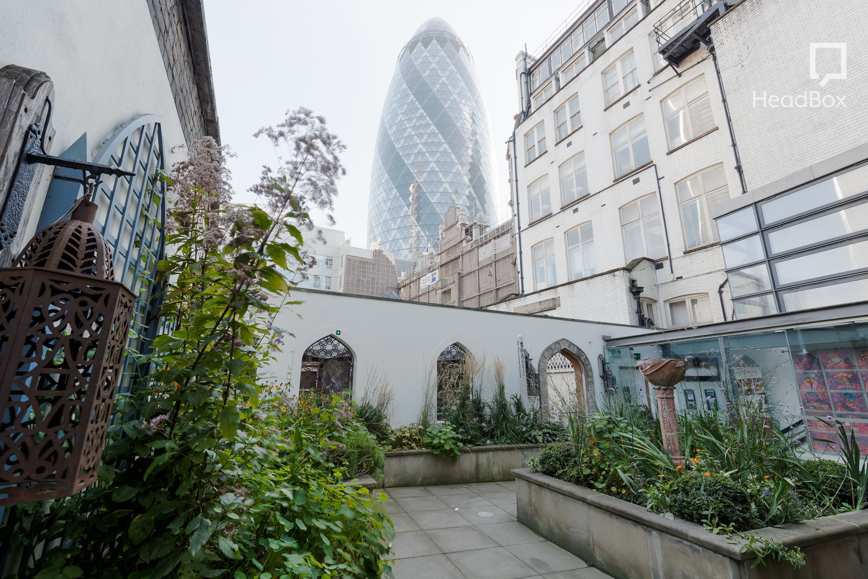 The Sun Also Rises 6