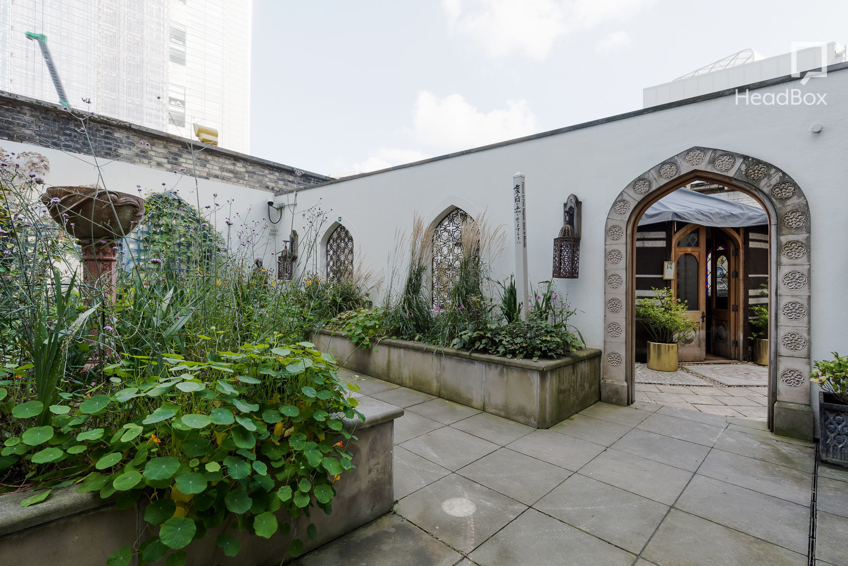 The Sun Also Rises 11