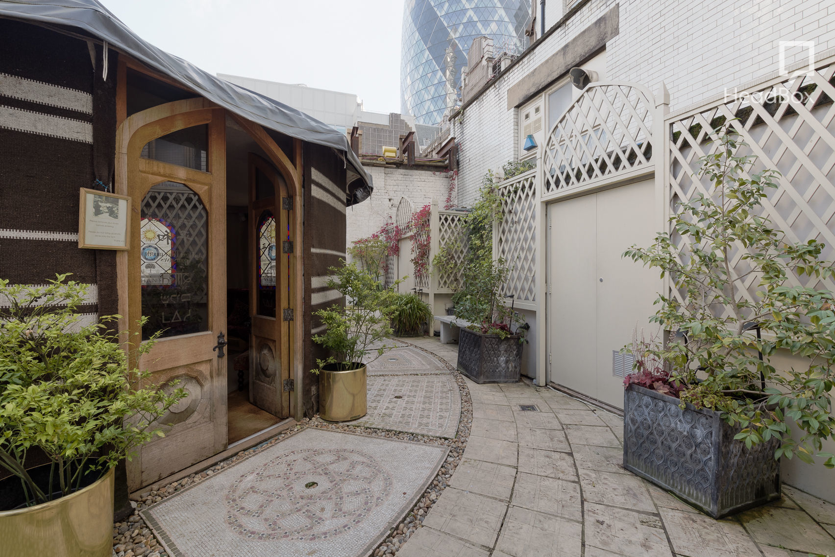 The Sun Also Rises 12