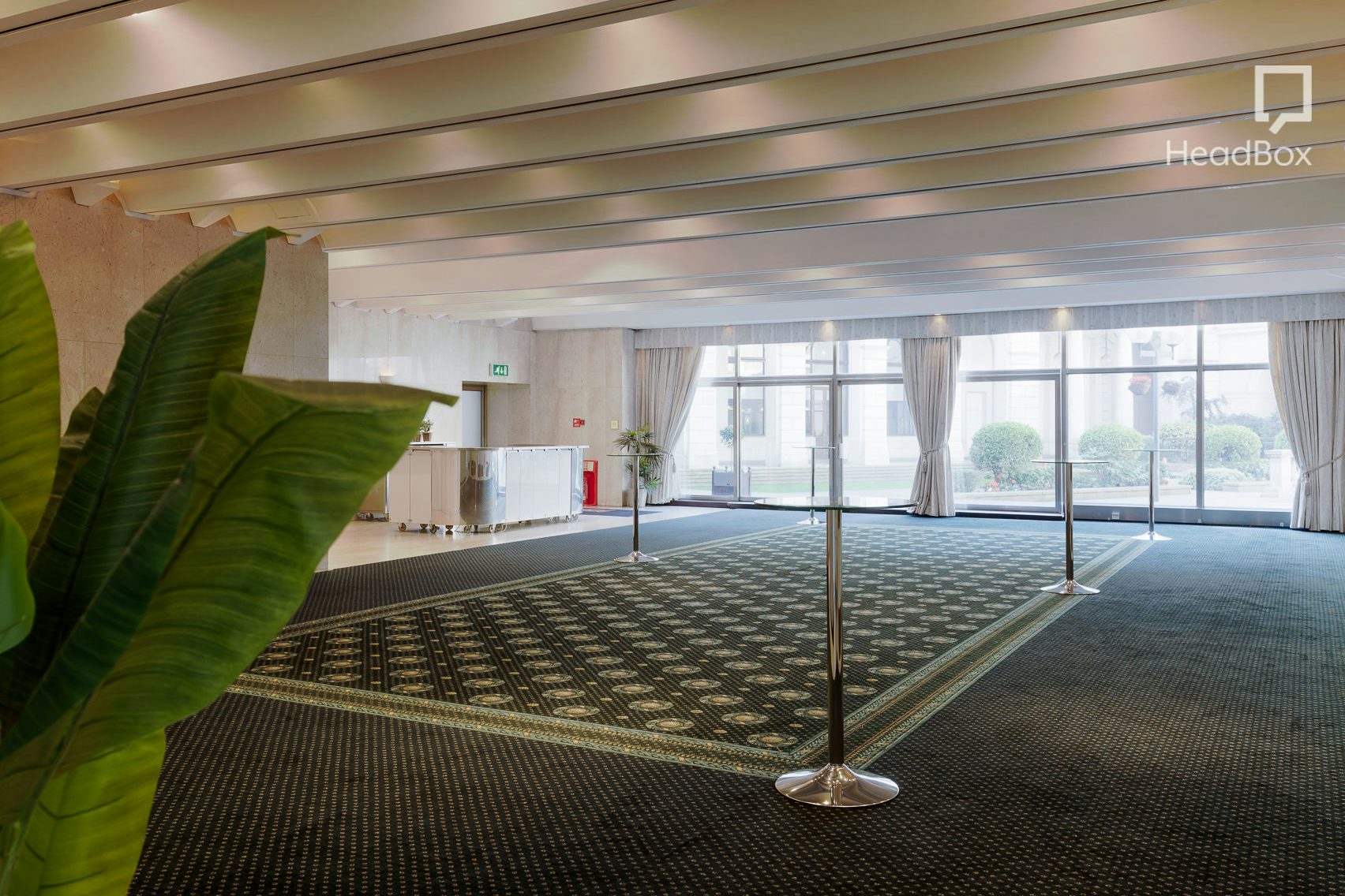 Gone with the Wind 5