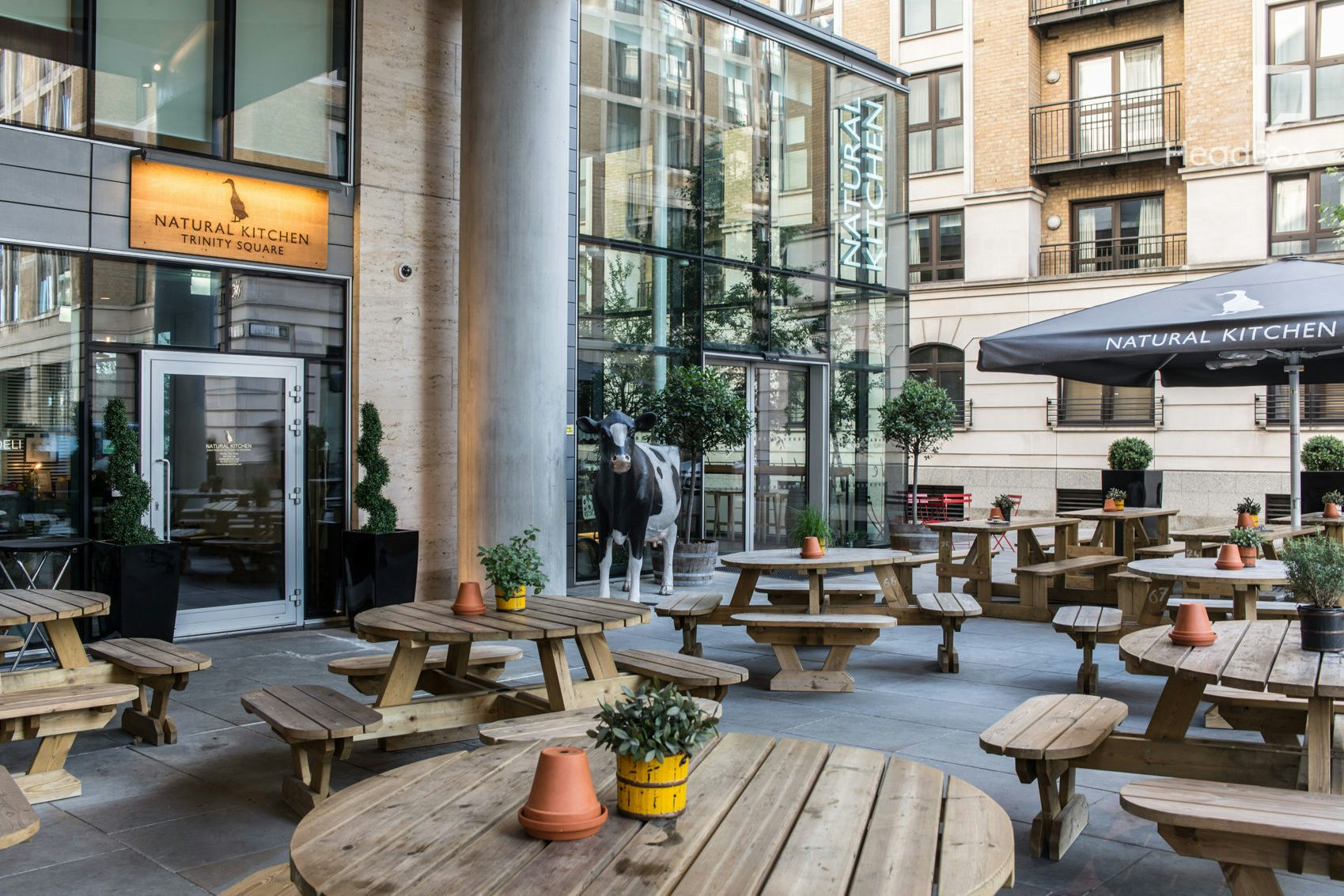 Far From the Madding Crowd 1