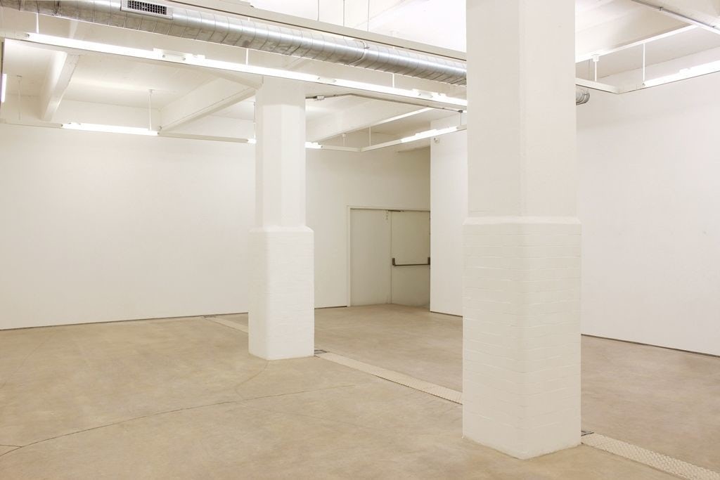 The Monkey's Raincoat 0