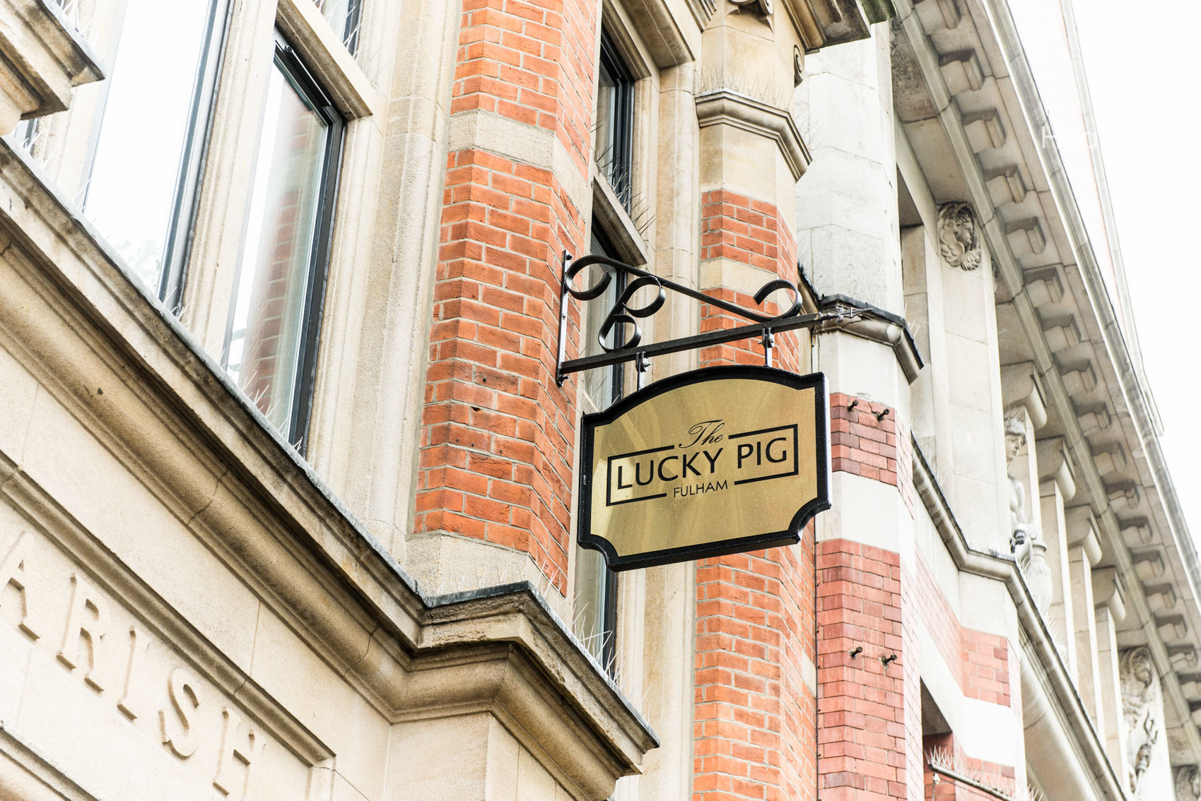 The Monkey's Raincoat 4