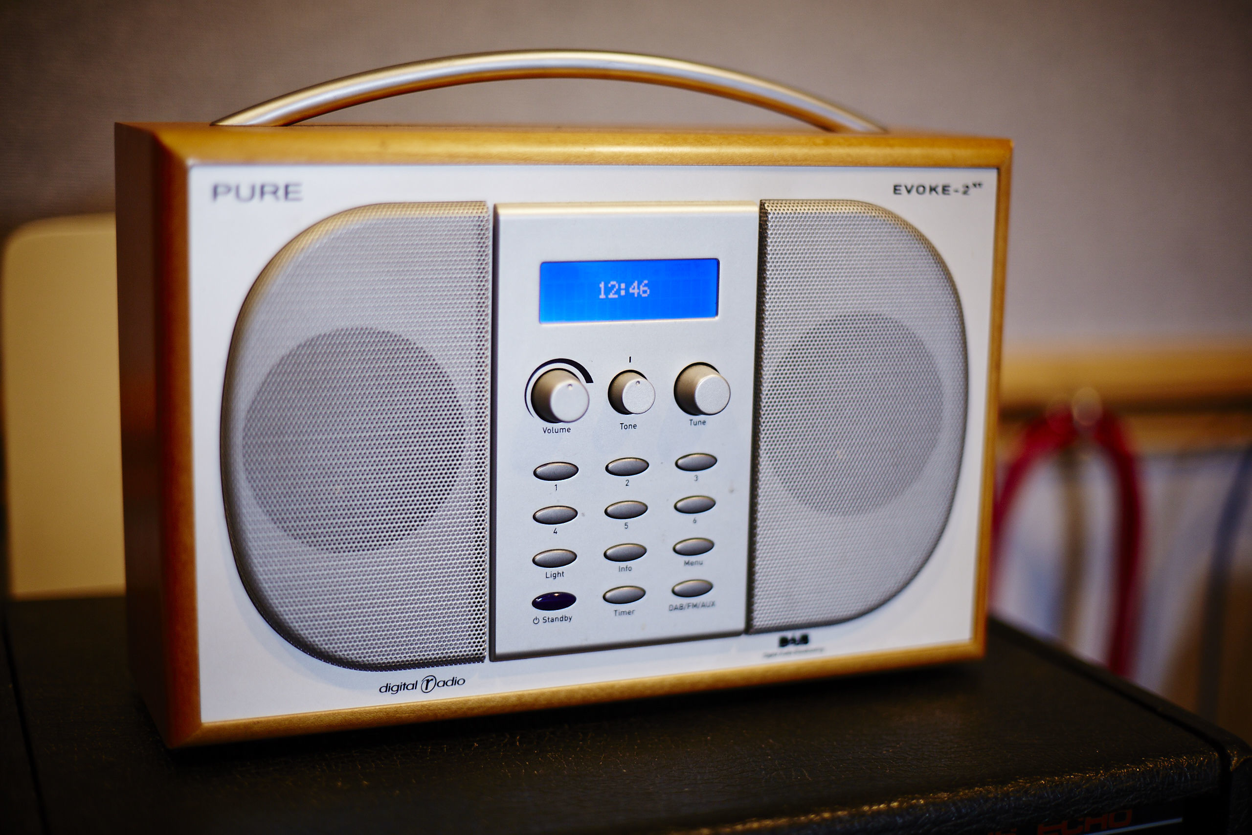 I Sing the Body Electric 11