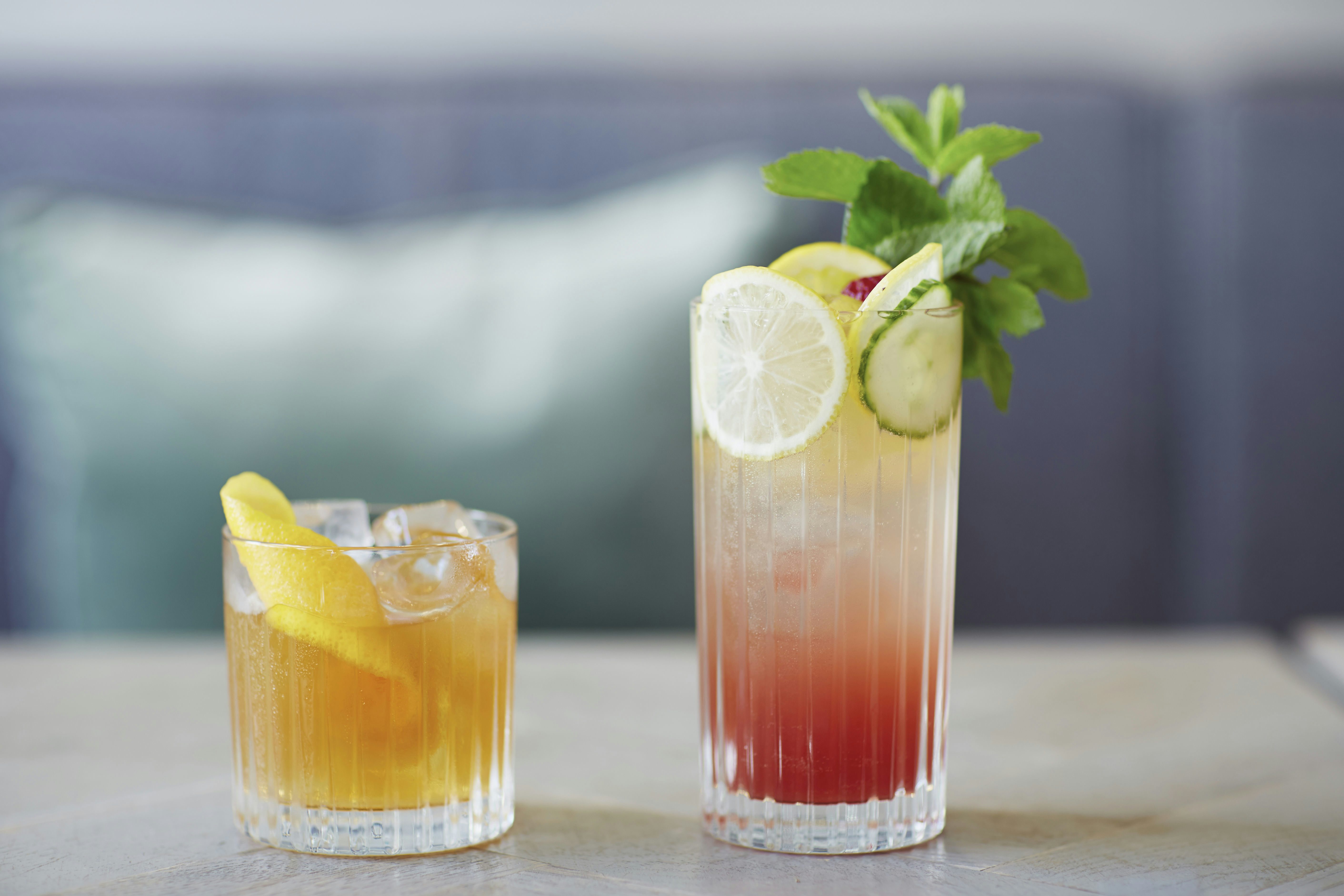 Taming a Sea Horse 2