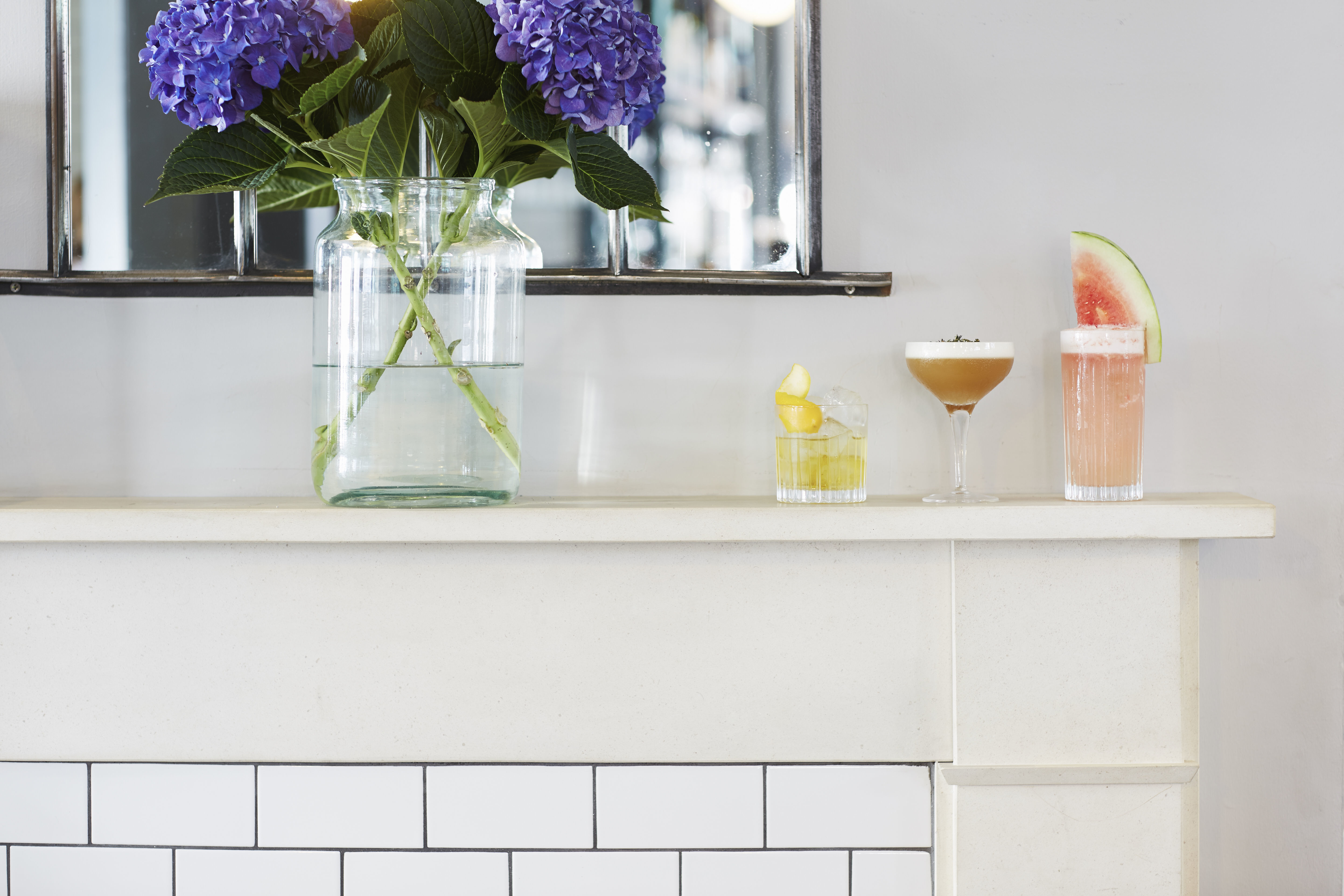 Taming a Sea Horse 4